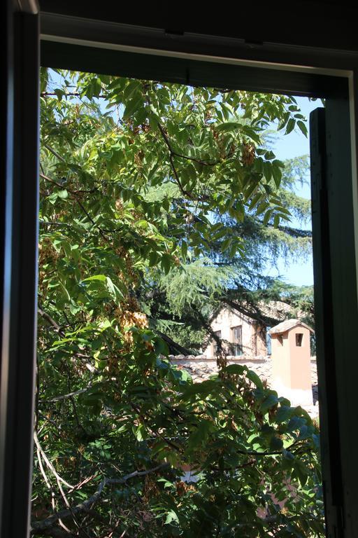 Il Cuore Di Trastevere_Design Apartment Roma Eksteriør bilde